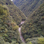 祖谷温泉画像