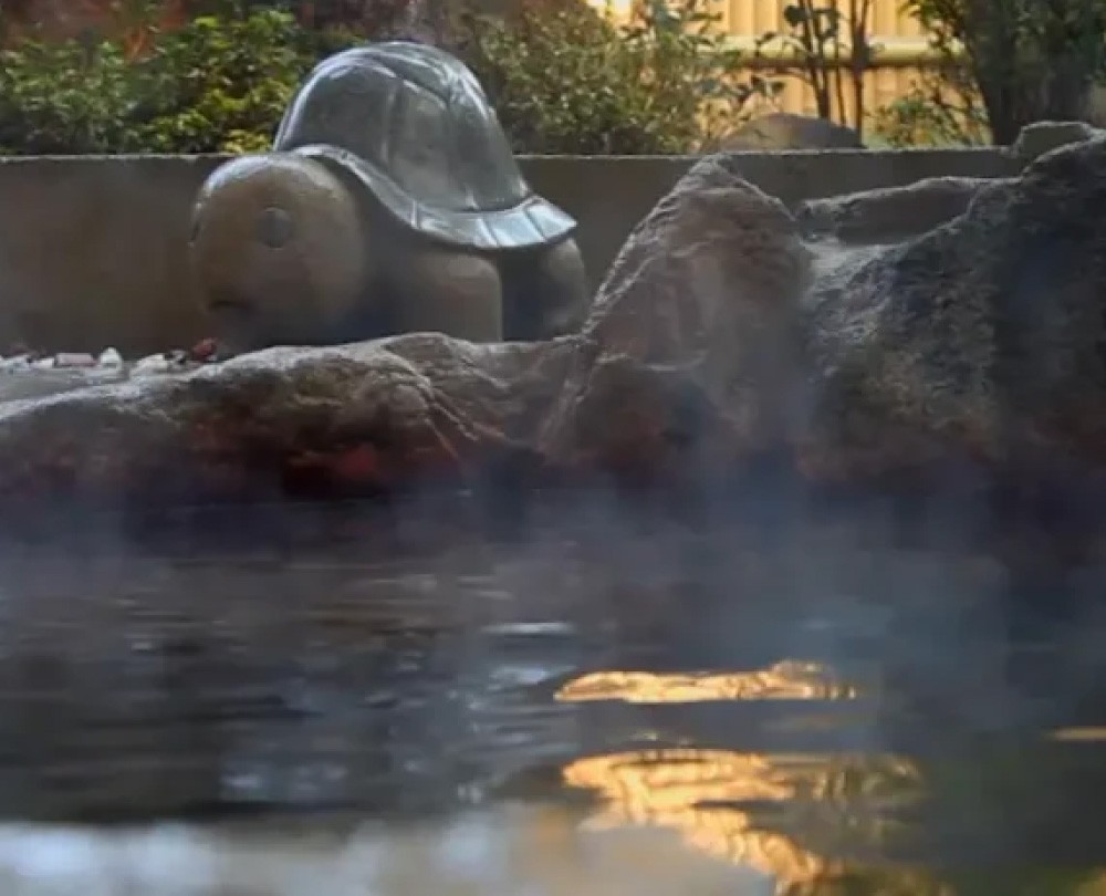 亀の甲温泉の施設画像