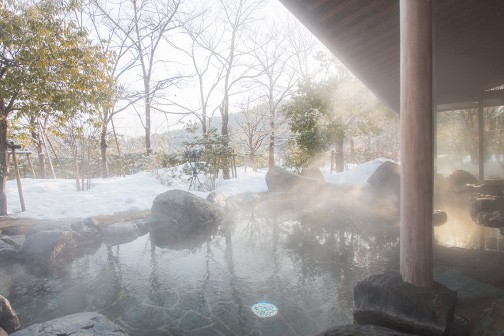 亀嵩温泉 玉峰山荘画像2