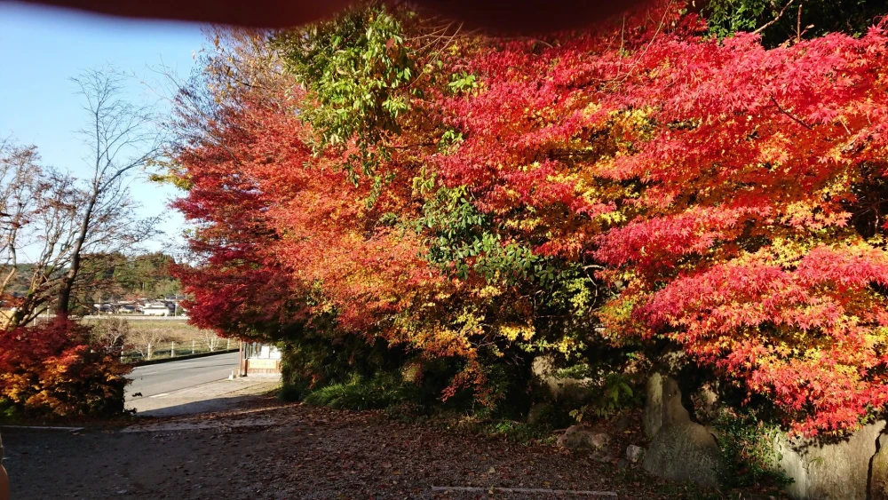 栗山温泉 紅さんざしの施設画像 - 9