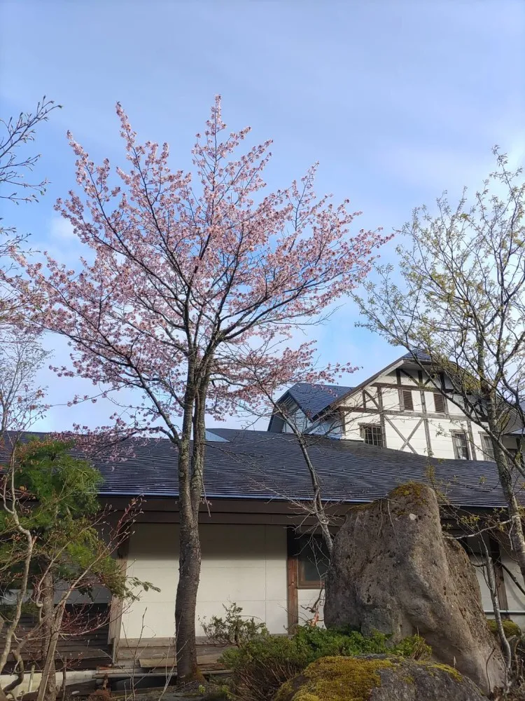 森の旅亭 マウント磐梯 のサムネイル画像