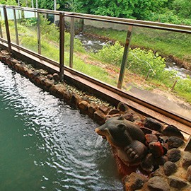かけ流し②の施設画像 - 7