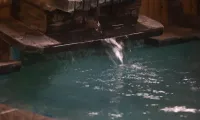 虹の宿 ホテル花景色 のサムネイル画像