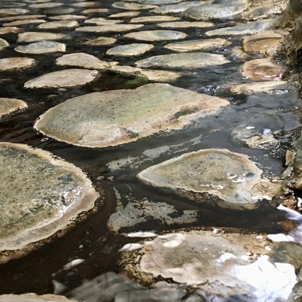 お風呂の施設画像 - 6
