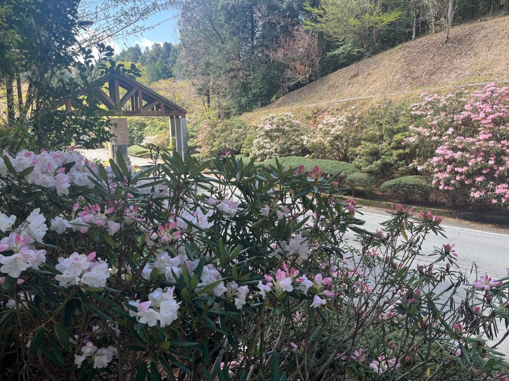 園内の花の施設画像 - 6