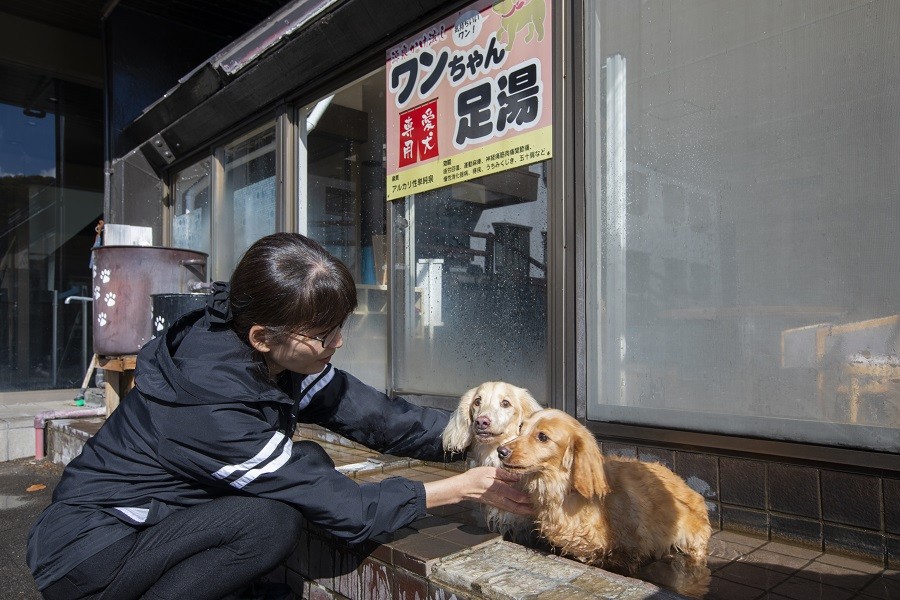 ワンちゃん足湯の施設画像 - 9