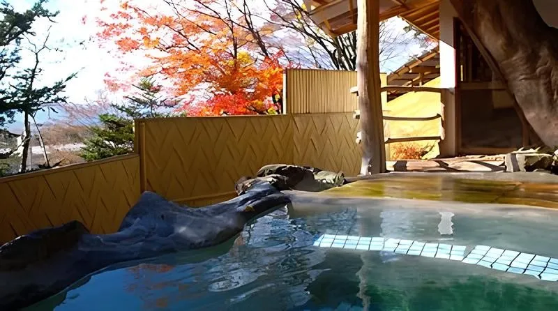 蓼科温泉 小斉の湯 のサムネイル画像
