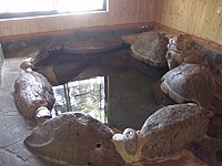 秋菇（内湯） のサムネイル画像