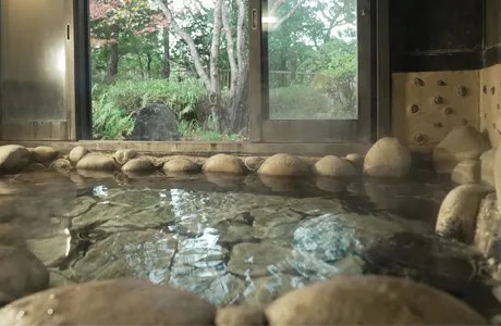 16.佐野桜（川原丸石）の施設画像 - 16