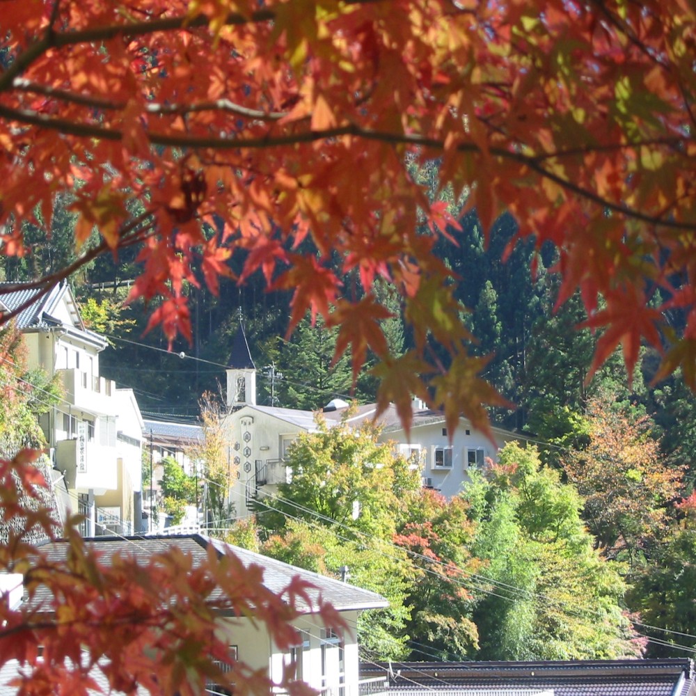 梅薫楼全景と紅葉の山々の施設画像 - 12