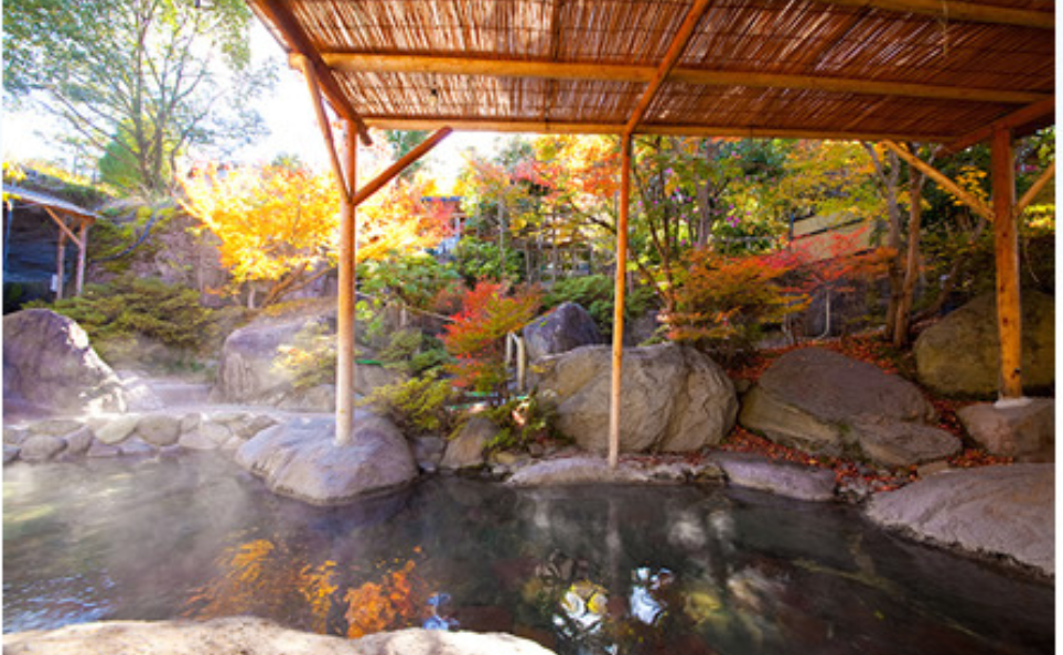 八面山金色温泉画像1