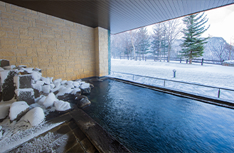 ホテル大雪 ONSEN&CANYON RESORT画像3