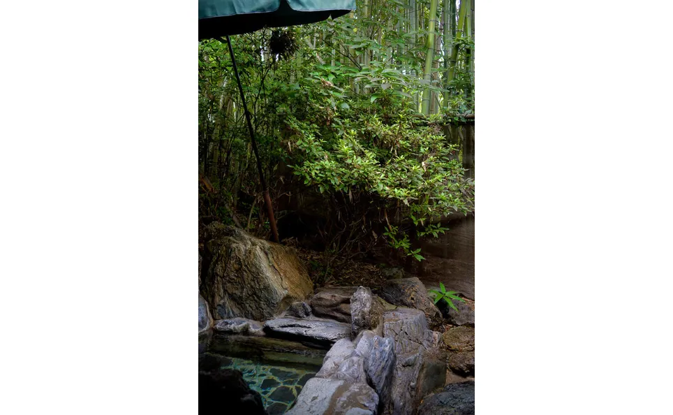 やすらぎの湯 ゆの杜竹泉 のサムネイル画像