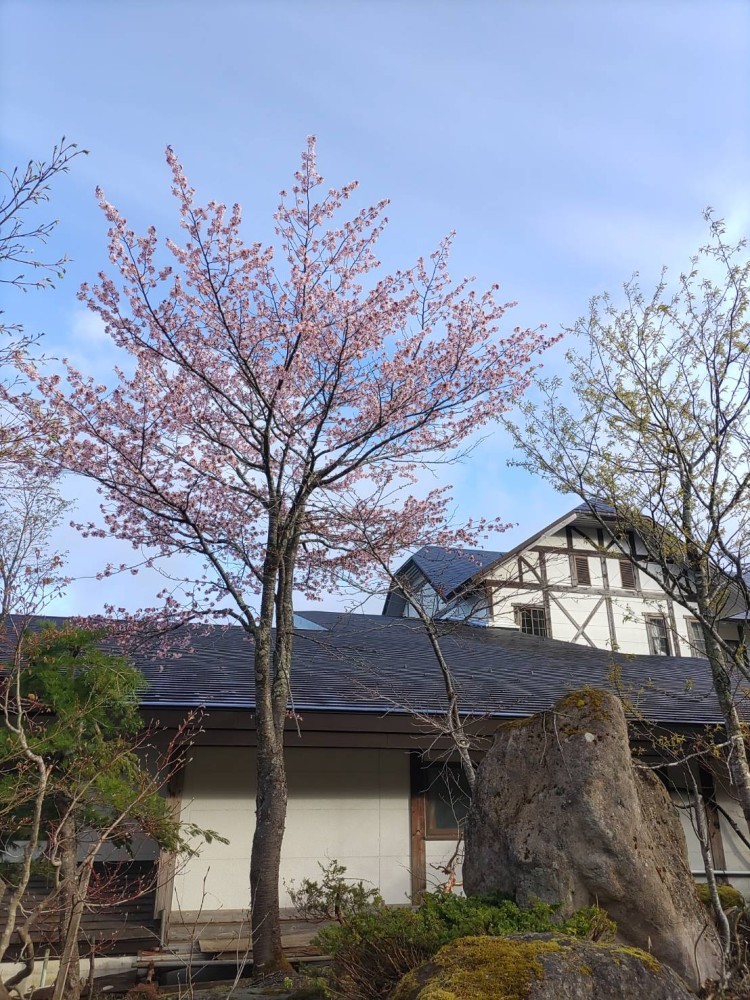 景色の施設画像 - 11