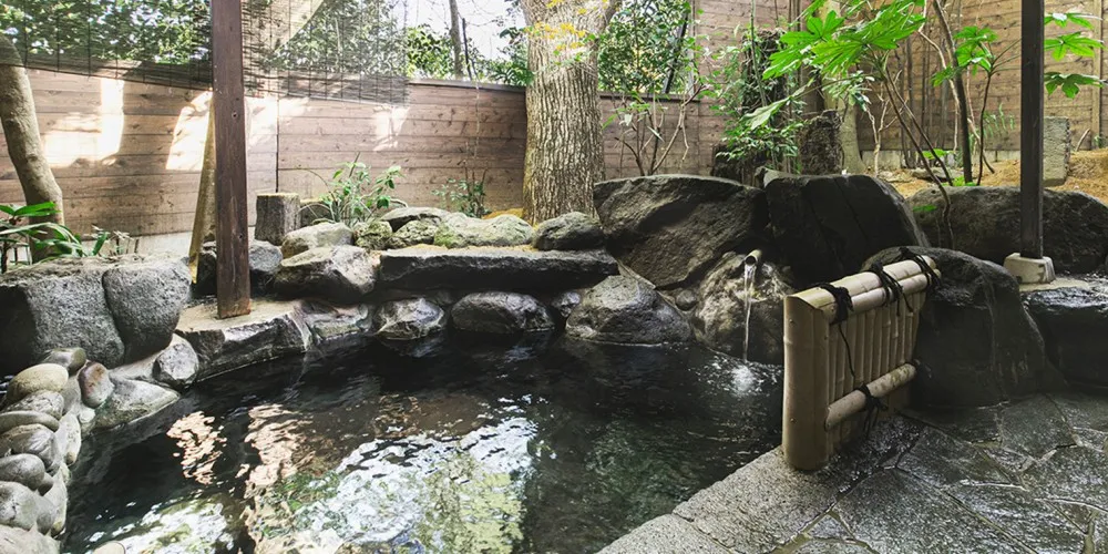 ハミルトン宇礼志野 のサムネイル画像