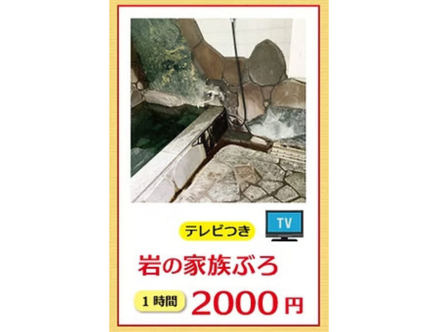 テレビ付き　岩の家族風呂のサムネイル画像