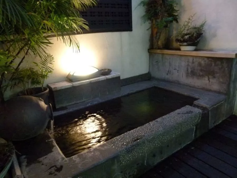 Aタイプ　9.インコのサムネイル画像