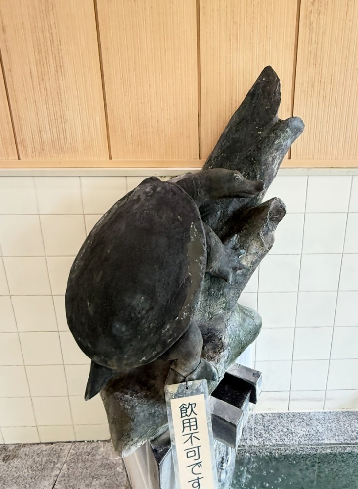 男湯（湯口）　湯口が安心院町名産のすっぽんとなっていますの施設画像 - 6