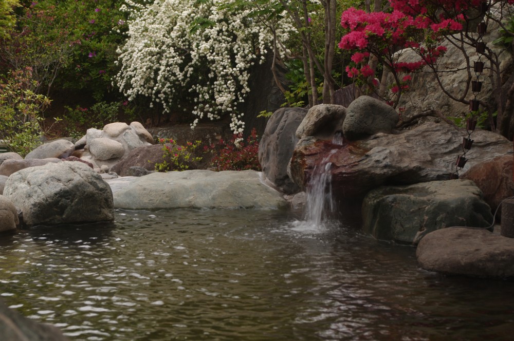 露天　岩風呂の施設画像 - 8