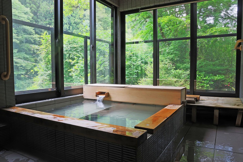 四万十源流癒しの里 郷麓温泉画像2